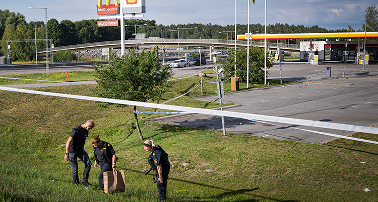 Mordet på Adriana huvudbild